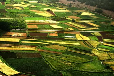 an aerial view of a field with fields and trees at La Kasbah du M'goun in Timit