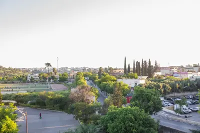 an aerial view of a city with trees and a street at Riad Fes Andalucia in Fès