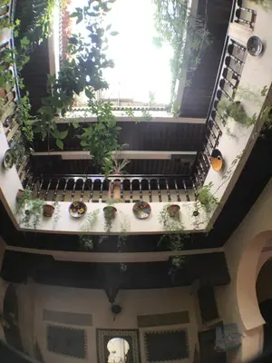 an overhead view of a building with plants at Ryad Bahia in Meknès