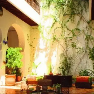 Ryad Bahia