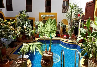 a pool filled with lots of potted plants at Palais AL Firdaous in Fès