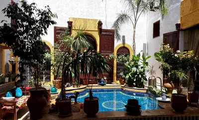 a courtyard with a swimming pool with potted plants at Palais AL Firdaous in Fès