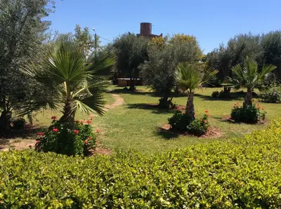 a park with palm trees and flowers in the grass at Villa TYCOZ in Marrakech