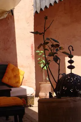 a vase with a plant in it in a room at Riad Menthe Et Citron in Meknès