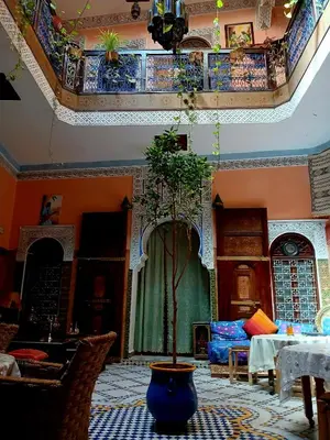 a room with a vase with a tree in it at Riad Idrissi in Meknès