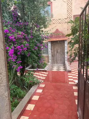 a walkway leading to a building with purple flowers at Dar Calme Chez El Bouhali in Skoura