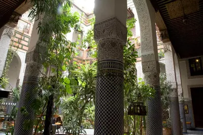 a group of columns in a building with plants at Riad Al Bartal in Fès