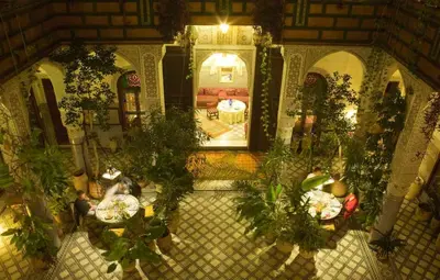 an overhead view of a room with potted plants at Riad Al Bartal in Fès