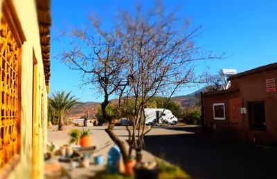 a tree in the middle of a street at Camping Auberge Zebra in Ouzoud