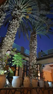 two palm trees in pots in front of a building at Hotel Restaurant La Kasbah in Tinerhir