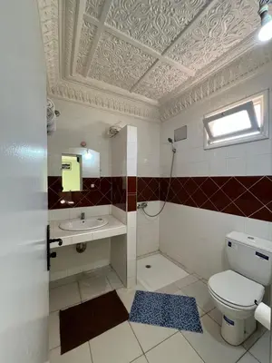 a bathroom with a toilet and a sink at Diyar Timnay in Moulay Idriss Zerhoun