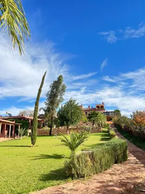 a green yard with a palm tree and a house at Palais D'Ouzoud in Azilal