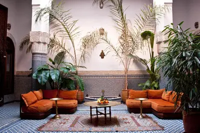 a living room with couches and potted plants at Riad Tayba in Fès