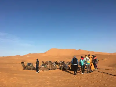a group of people standing in the desert with camels at Camp Under Stars in Merzouga