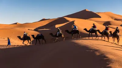 a group of people riding on camels in the desert at Camp Under Stars in Merzouga