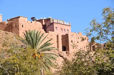 a castle on top of a hill with a palm tree at Kasbah Assafar in Kalaat MGouna