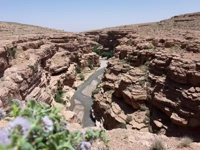 a canyon with a river in the middle at Kasbah Izoran in Midelt