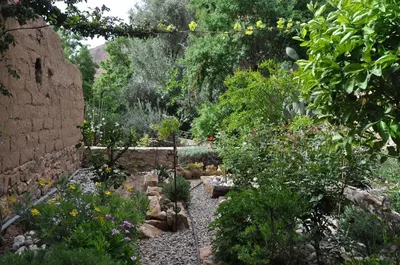 a garden with many plants and a stone wall at A Secret Garden in Tinerhir