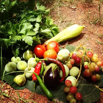 a pile of fruits and vegetables on the ground at Maison d'Hôtes Irocha in Tisselday