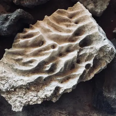 a rock with a pattern on it on the ground at Maison d'Hôtes Irocha in Tisselday