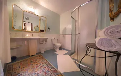 a bathroom with a shower and a sink and a toilet at Riad Atika Mek in Meknès
