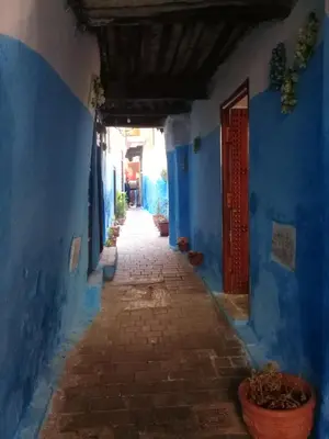 an alley way with blue walls and a hallway with blue doors at Dar Saida in Fès