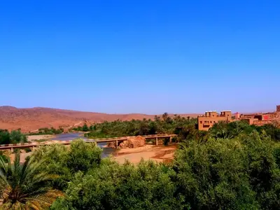 a bridge over a river with trees and buildings at Kasbah Elmehdaoui in Skoura