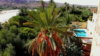 a palm tree in front of a building at Kasbah Elmehdaoui in Skoura