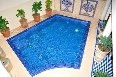 a blue swimming pool with potted plants in a room at Riad Andalib in Fès