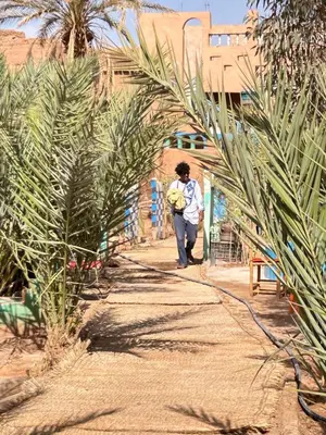 a man walking down a dirt path with palm trees at Auberge L'Oasis Mhamid in Mhamid