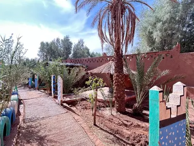a garden with a palm tree and a wooden walkway at Auberge L'Oasis Mhamid in Mhamid