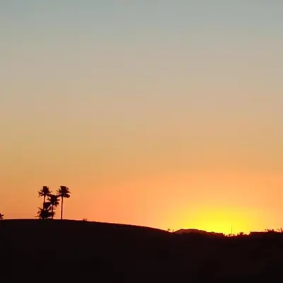 a sunset with a palm tree on a hill at SaharaTime Camp in Hassilabied