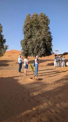a group of people standing in the sand near a tree at SaharaTime Camp in Hassilabied