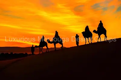 a group of people riding on camels at sunset at Luxurious Merzouga Desert Camps in Merzouga
