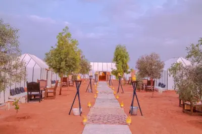 a row of trees in a courtyard with tents at Erg Chebbi Camp in Merzouga