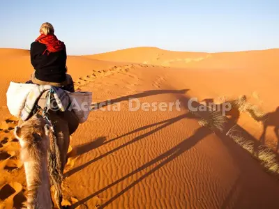 a man riding a camel in the desert at Acacia Desert Camp in Merzouga