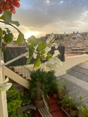 a view of a city from a balcony with plants at Riad Taj Salma in Fès