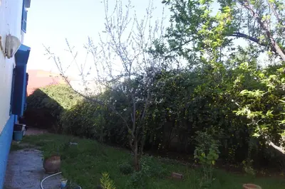 a small tree in the yard of a house at Le jardin d'habiba in Rhorm el Alem