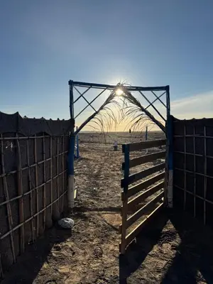 a gate to a fence with the sun behind it at Obira Oasis Merzouga Camp in Merzouga