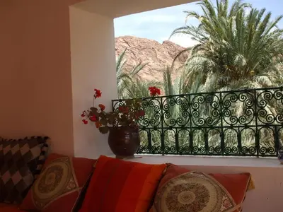 a window with a couch and a vase with flowers at Palmeraie Guest House in Tinerhir