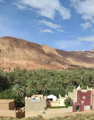 a house in the middle of a desert with palm trees at Palmeraie Guest House in Tinerhir