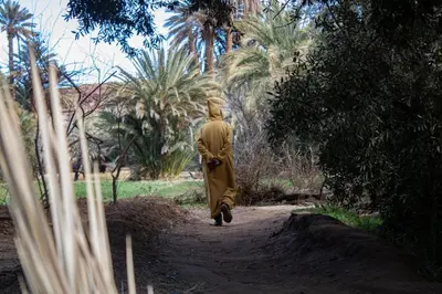 a monk walking down a dirt path with palm trees at Palmeraie Guest House in Tinerhir