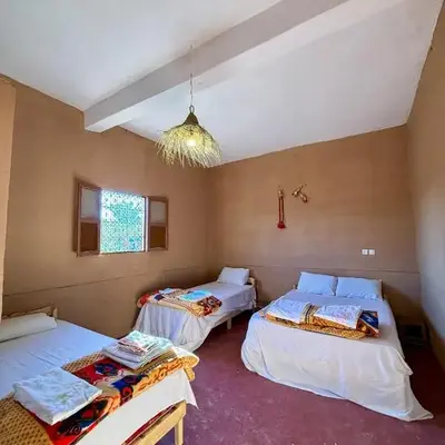 Camping Les Palmeraies - Oasis Escape Tagounite