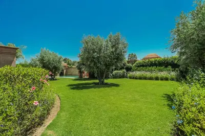 a garden with green grass and a tree and bushes at Villa Akhdar 18 in Ben Larbi