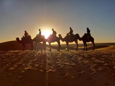 a group of people riding camels in the desert at MorokoTour Camp in Merzouga