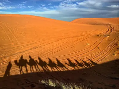 a group of shadows of people riding camels in the desert at Mhamid Sahara Camp Activities - Le Chant du Sable in Mhamid