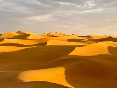 a group of sand dunes in the desert at Mhamid Sahara Camp Activities - Le Chant du Sable in Mhamid