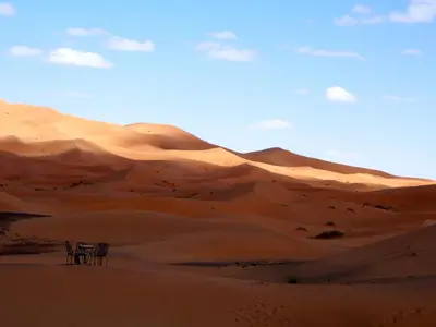 a desert with two camel stands in the sand at Kasbah Erg Chebbi in Merzouga
