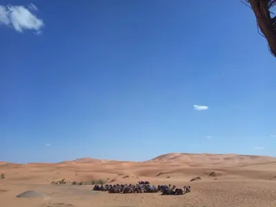 a group of people standing in the desert at Sahara Desert Camp in Hassilabied