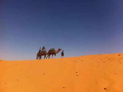 a group of people riding on camels on a desert at Sahara Desert Camp in Hassilabied